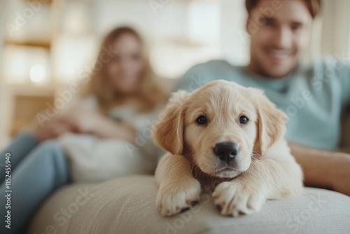Wallpaper Mural Golden retriever puppy relaxes on the couch with happy couple in cozy living room setting in daylight Torontodigital.ca