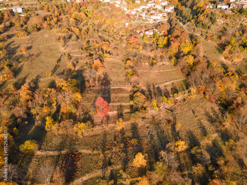 Rhodope mountain near village of Borovo, Bulgaria photo