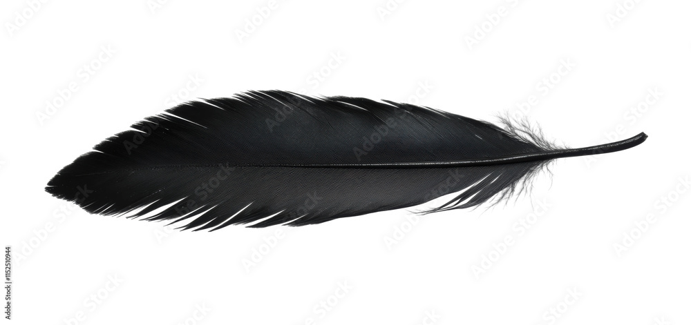 Dark feather with smooth texture and pointed tip, elegant black quill design, natural feather illustration for writing or decorative use isolated on transparent background Dark feather with smooth texture and pointed tip, elegant black quill design, natural feather illustration for writing or decorative use isolated on transparent background