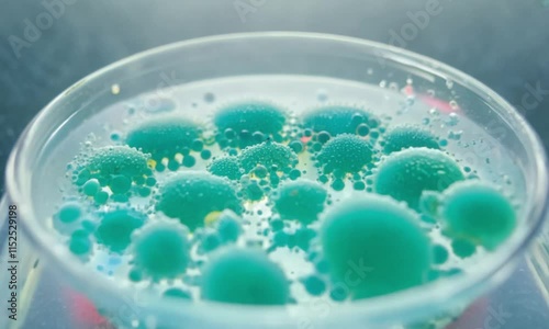 Microscopic View of Bacteria Growth in a Petri Dish