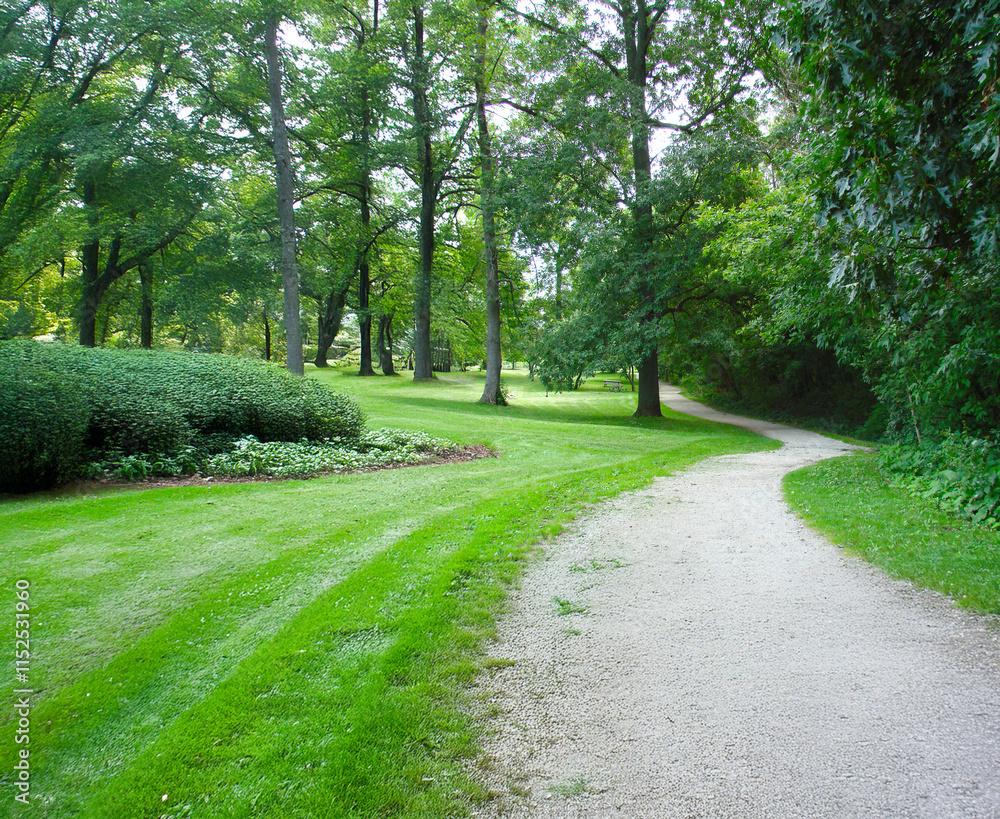 Fototapeta premium Path Through the Park