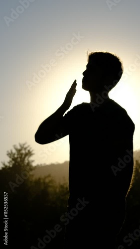 Silhouette waving hand