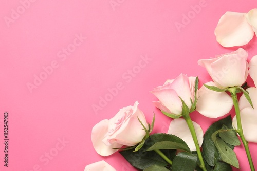 Wallpaper Mural Beautiful roses and petals on pink background, top view. Space for text Torontodigital.ca