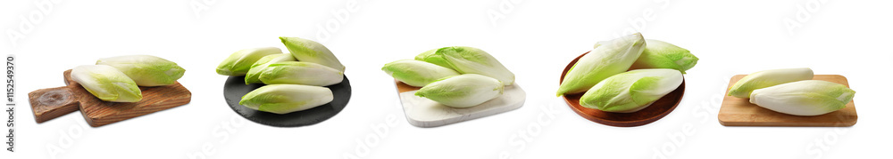Fresh leaf chicory isolated on white, set