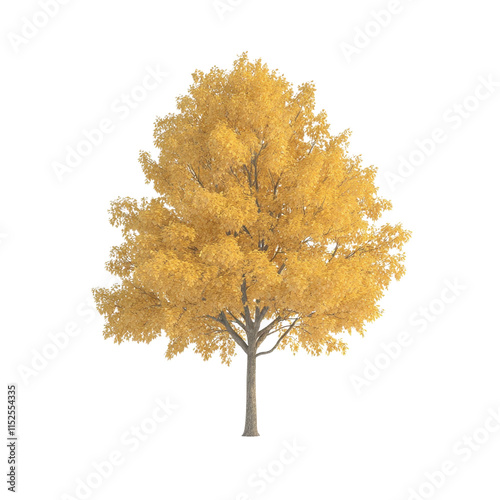 Autumnal Glory A Single Deciduous Tree in Golden Hues, Isolated on Black Background