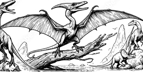 Pteranodon vector art