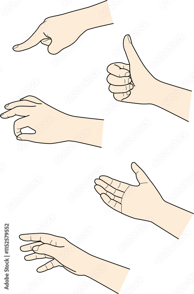 hand_1-5_colour hand_1-5_colour