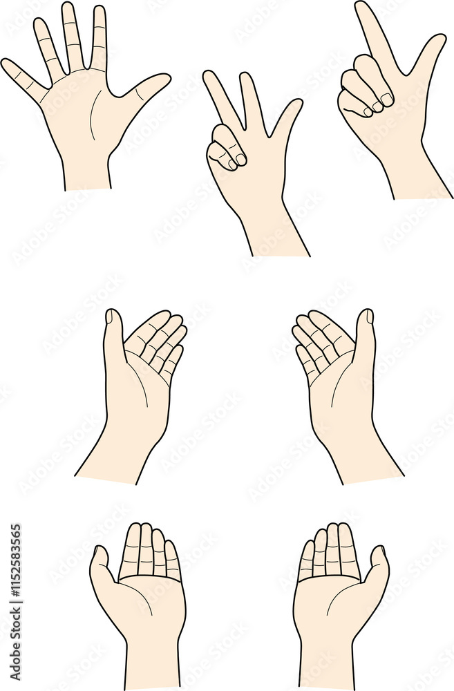 hand_26-30_colour hand_26-30_colour