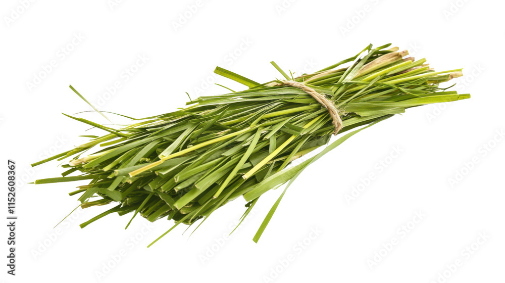 Fototapeta premium Fresh green grass, transparent background