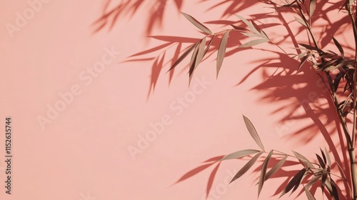 Wallpaper Mural Dried plant branches cast shadows on a coral pink background. Torontodigital.ca