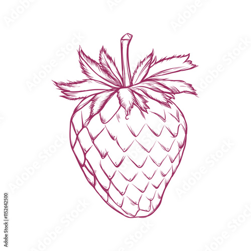 Hand drawn illustration of a strawberry in line art style, capturing its intricate details and delicate form