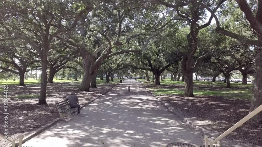 View moving through the famous gazebo in White Point Gardens in the Battery in downtown Charleston, South Carolina. View moving through the famous gazebo in White Point Gardens in the Battery in downtown Charleston, South Carolina.
