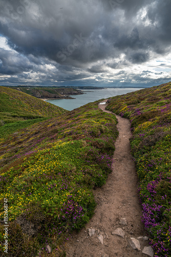 Cap Fréhel Area in Brittany, France