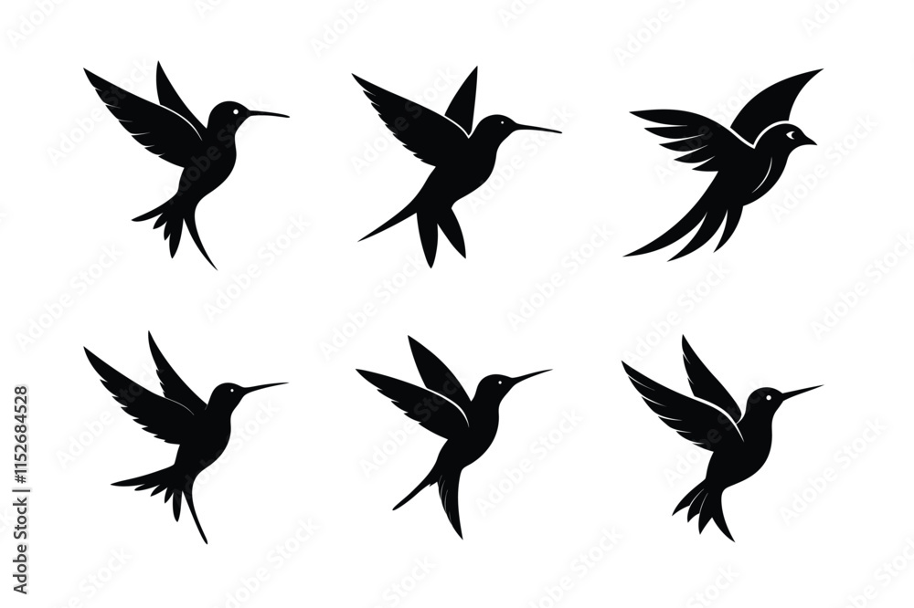 Fototapeta premium All the birds are in the sky; the art is incredible