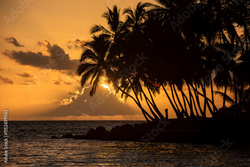 Tropical Sunset Silhouette