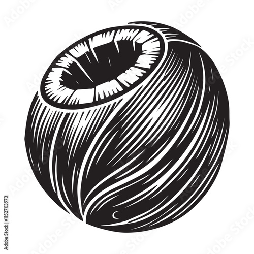 Coconut Silhouette Vector Illustration, Solid White Background.