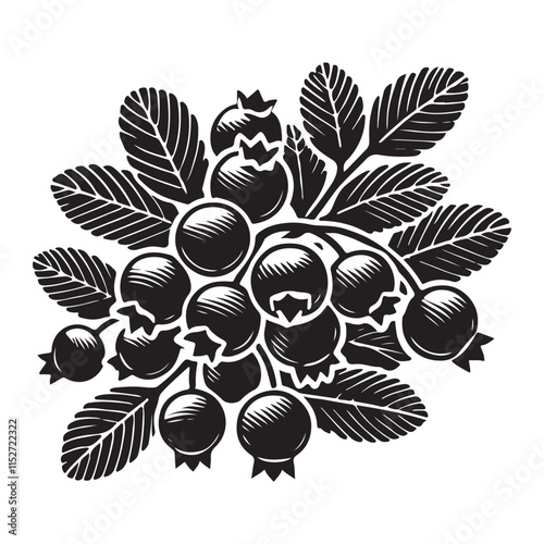 Cranberry Silhouette Vector Illustration, Solid White Background.