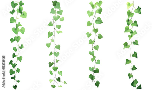 Wallpaper Mural High-Quality PNG of Green leaves of Vine plant ivy (Coccinia grandis) Isolated on White Background – High Resolution Torontodigital.ca