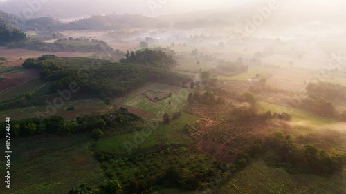 Aerial Fairy tale foggy morning forest with mystical sunlight drone woodland dreamy landscape 