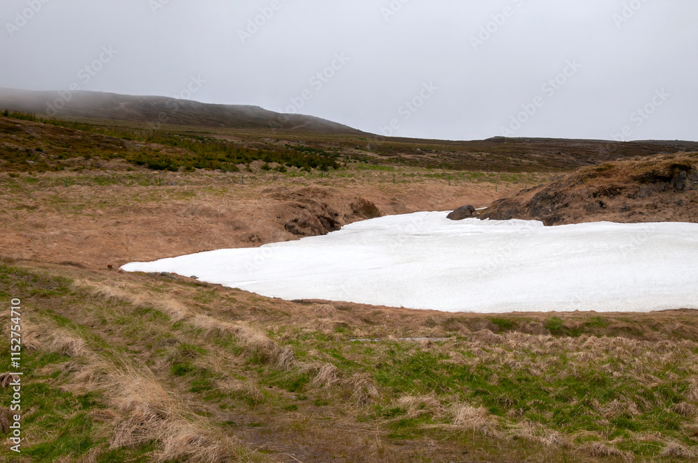 Drangsnes Iceland, patch of meting snow in meadow Drangsnes Iceland, patch of meting snow in meadow