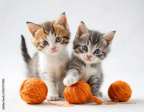 Fototapeta kittens playing with ball