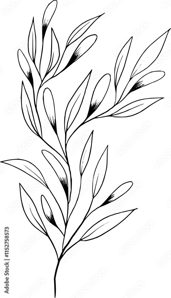 Fototapeta premium Hand drawn Flowers and plants