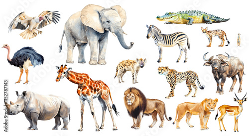 set of vector illustration of a cartoon savanna animals animation, painted with watercolor, isolated on a white background