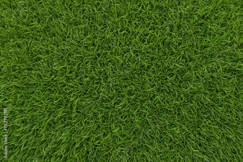 Wallpaper Mural a close up of a green grass texture with a white background Torontodigital.ca