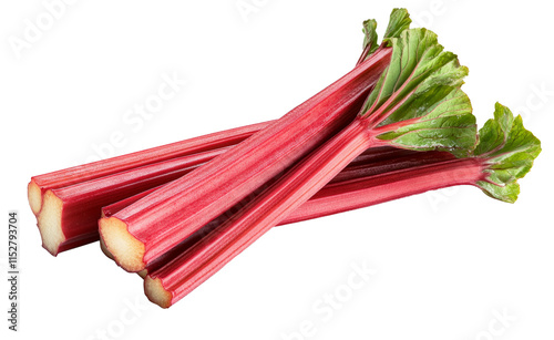 High-Quality PNG of Rhubarb stalks Isolated on White Background – High Resolution