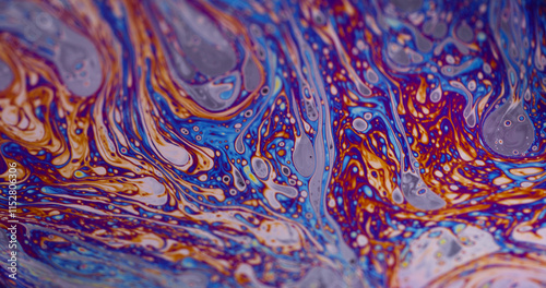 Fotografie Vivid rainbow color