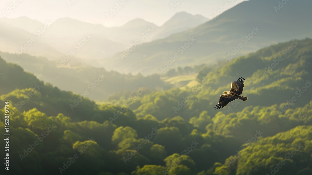 Obraz premium Golden Eagle Soaring Above Lush Green Background Wild Animals in the Serene Mountains Captured Nature's Beauty