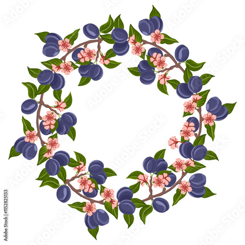 vector drawing round frame with plum tree branches, fruits,flowers and green leaves isolated at white background, floral wreath, hand drawn illustration