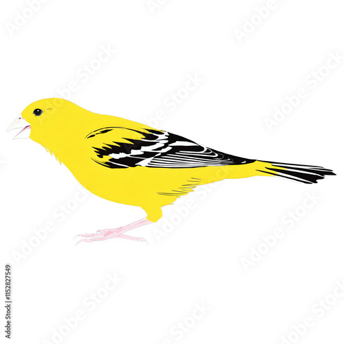 Cheerful Yellow Canary Portrait: Vibrant Songbird Illustration with Detailed Feathers and Natural Perch - Premium Vector Bird Art photo