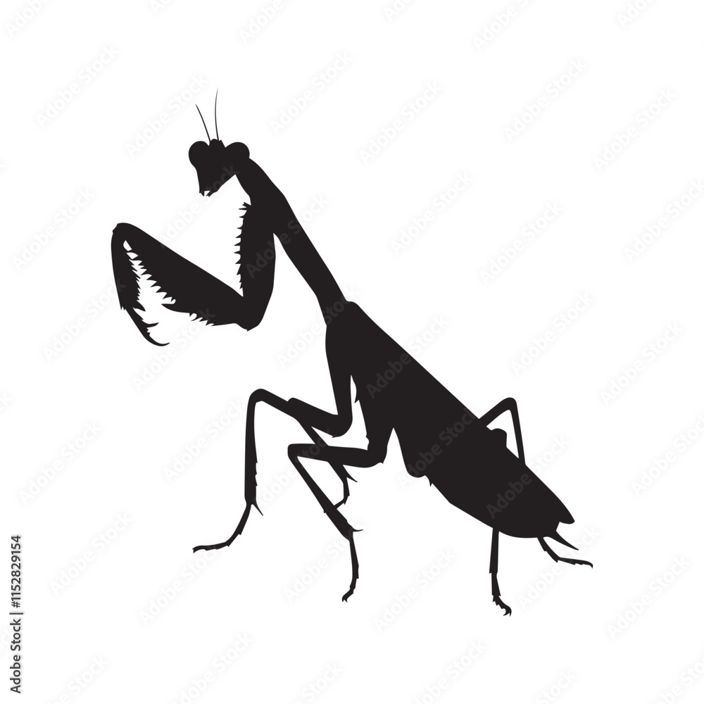Fototapeta premium Black Praying Mantis Silhouette on White Background, Realistic Praying Mantis Shadow Image for Prints
