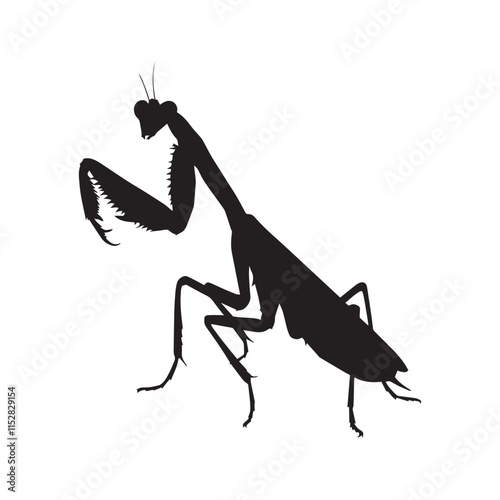 Black Praying Mantis Silhouette on White Background, Realistic Praying Mantis Shadow Image for Prints