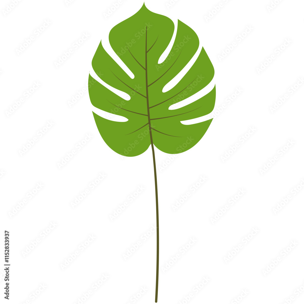 Green Tropical Leaves Illustration. Exotic Plant and Flower Design. Flat Vector Element Green Tropical Leaves Illustration. Exotic Plant and Flower Design. Flat Vector Element