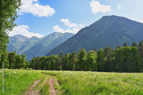 Mountain range near Arkhyz village on a summer day photo