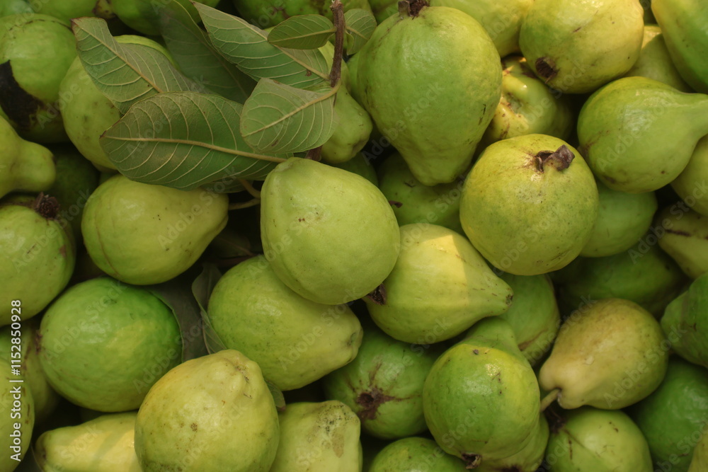 Close-up photo of guavas in market. Fruits background. Texture green guava.,fresh guava background Close-up photo of guavas in market. Fruits background. Texture green guava.,fresh guava background