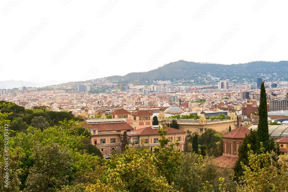 Fototapeta premium Panoramic view of the beautiful city of Barcelona showcasing architecture and greenery during daytime