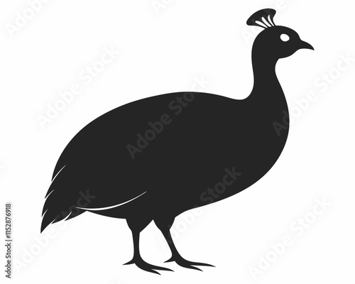 silhouette of Guinea fowl vector on white background