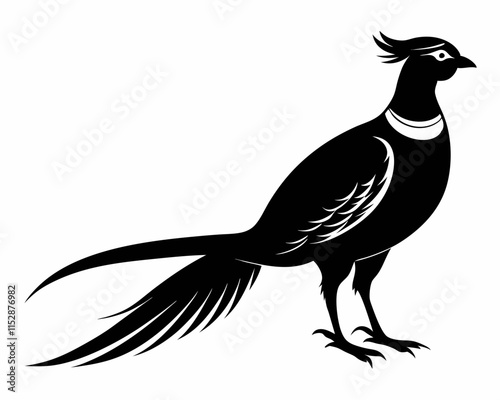 silhouette of Pheasant vector on white background