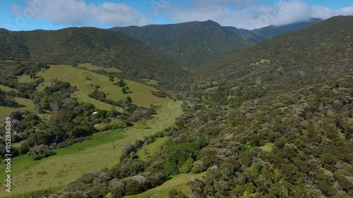 Aerial view of a New Zealand valley. Rolling hills, lush forests, and scattered farm buildings. Natural beauty. PORT CHARLES, COROMANDEL PENINSULA, NEW ZEALAND