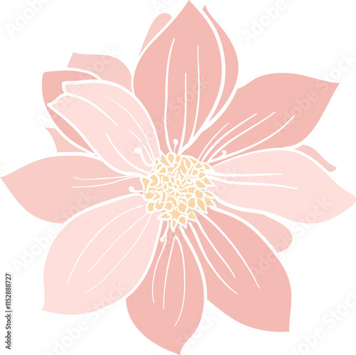 Daly Flowers