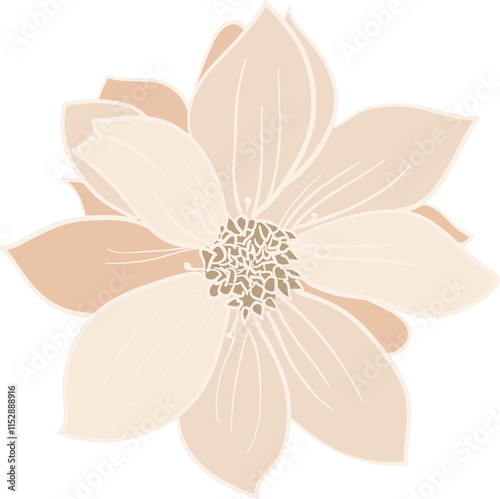 Daly Flowers