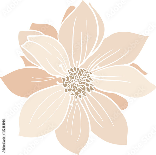 Daly Flowers