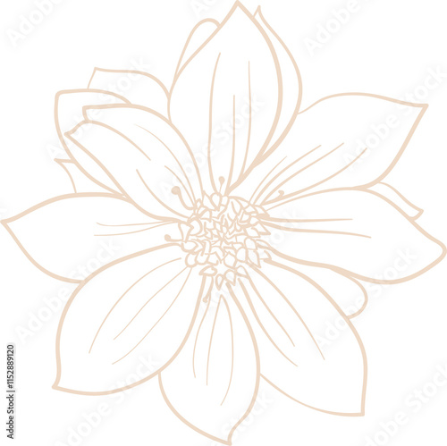 Daly Flowers