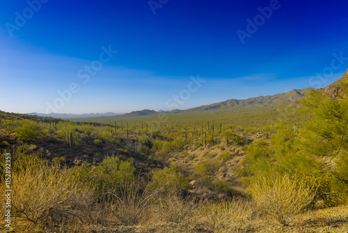 A stunning panoramic view of the majestic mountains surrounding Tucson, Arizona, captured during golden hour. The rugged peaks rise dramatically against the vibrant desert landscape, showcasing the ic photo