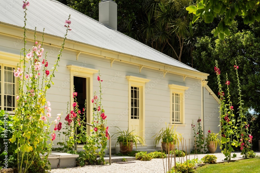 Fototapeta premium Charming white cottage with blooming hollyhocks.