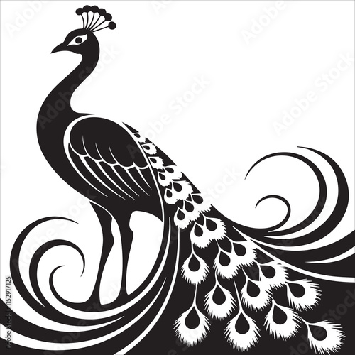 Peacock Tail Spiral Line Design
