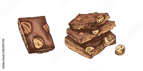 Vintage hand drawn chocolate pieces with nuts detailed colored illustration
